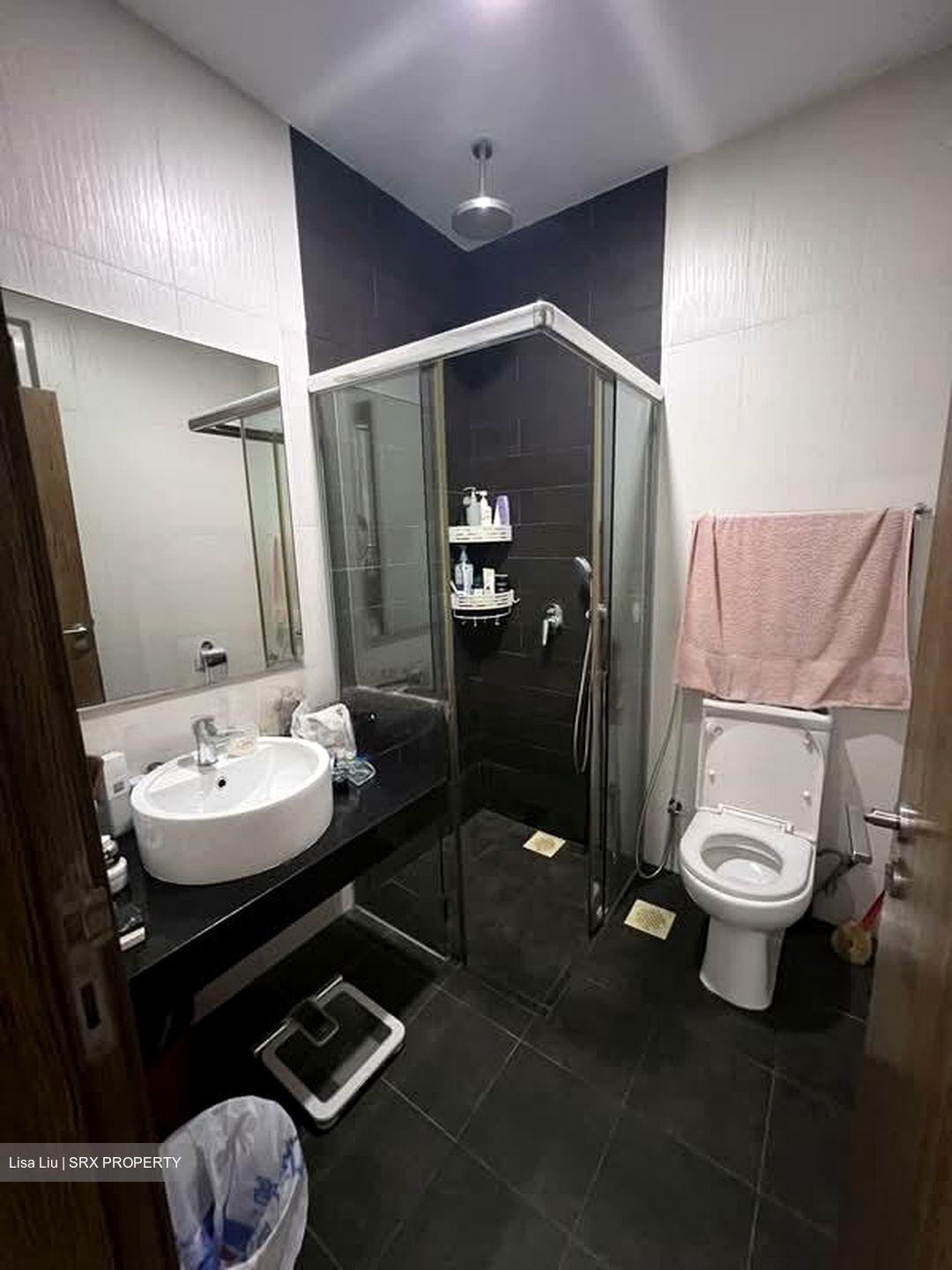 Parc Rosewood (D25), Condominium #570628521